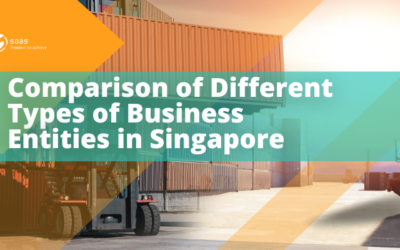 Exploring the Different Types of Business Entities in Singapore