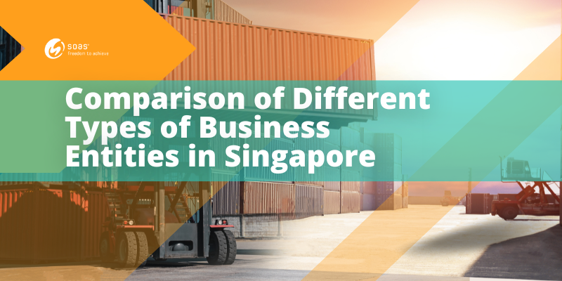 Exploring the Different Types of Business Entities in Singapore