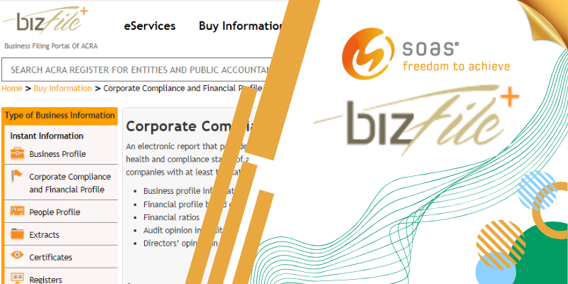 BizFile