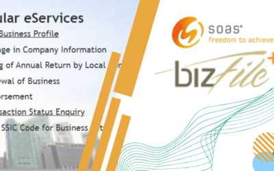 Everything You Need to Know About ACRA BizFile in Singapore