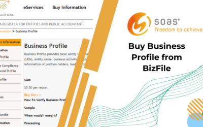 How to Buy Business Profile from BizFile: A Step-by-Step Guide