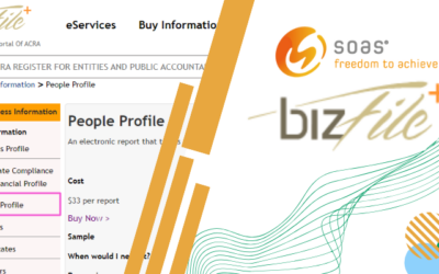 Navigating the Process of Acquiring People Profile from Bizfile