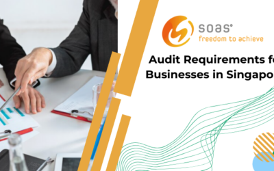 Audit Requirements for Businesses in Singapore
