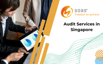 Unveiling the Dynamics of Audit Services in Singapore