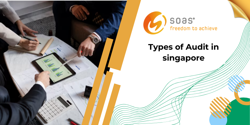 Types of Audit in singapore