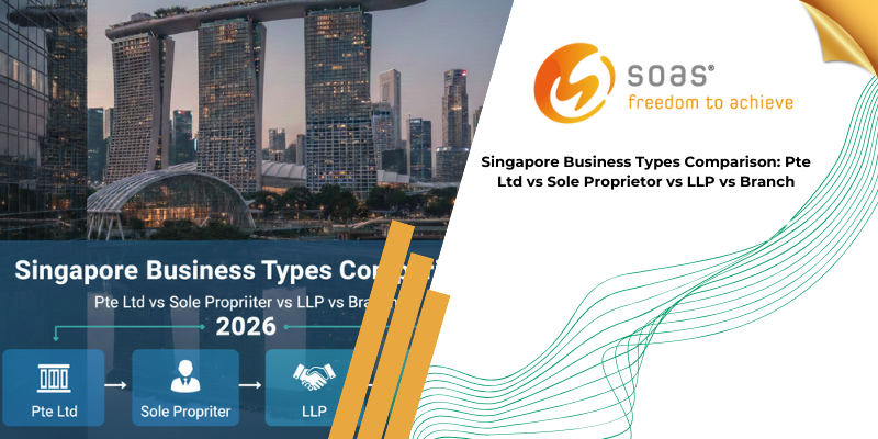Singapore Business Types Comparison Pte Ltd vs Sole Proprietor vs LLP vs Branch Singapore Business Types Comparison: Pte Ltd vs Sole Proprietor vs LLP vs Branch